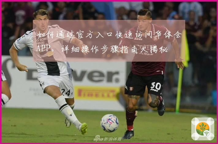 如何通过官方入口快速访问华体会APP，详细操作步骤指南大揭秘